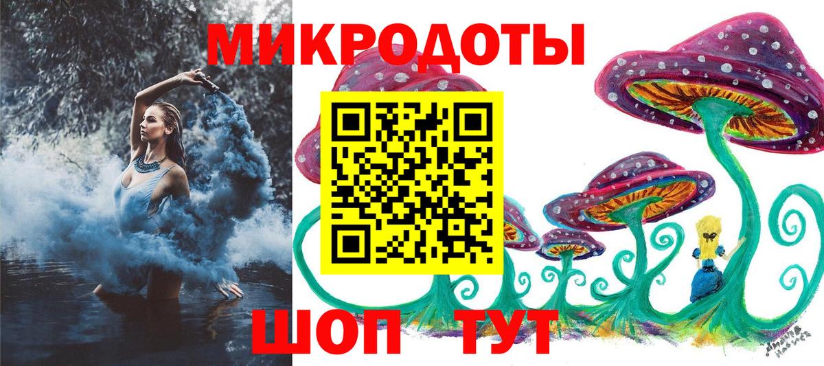 Псилоцибиновые грибы Cubensis Нижний Тагил