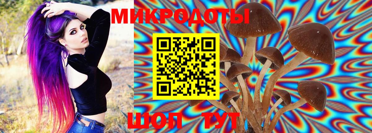 Нижний Тагил  Псилоцибиновые грибы ЛСД  Вход с VPN  Галлюциногенные грибы Magic Shrooms 